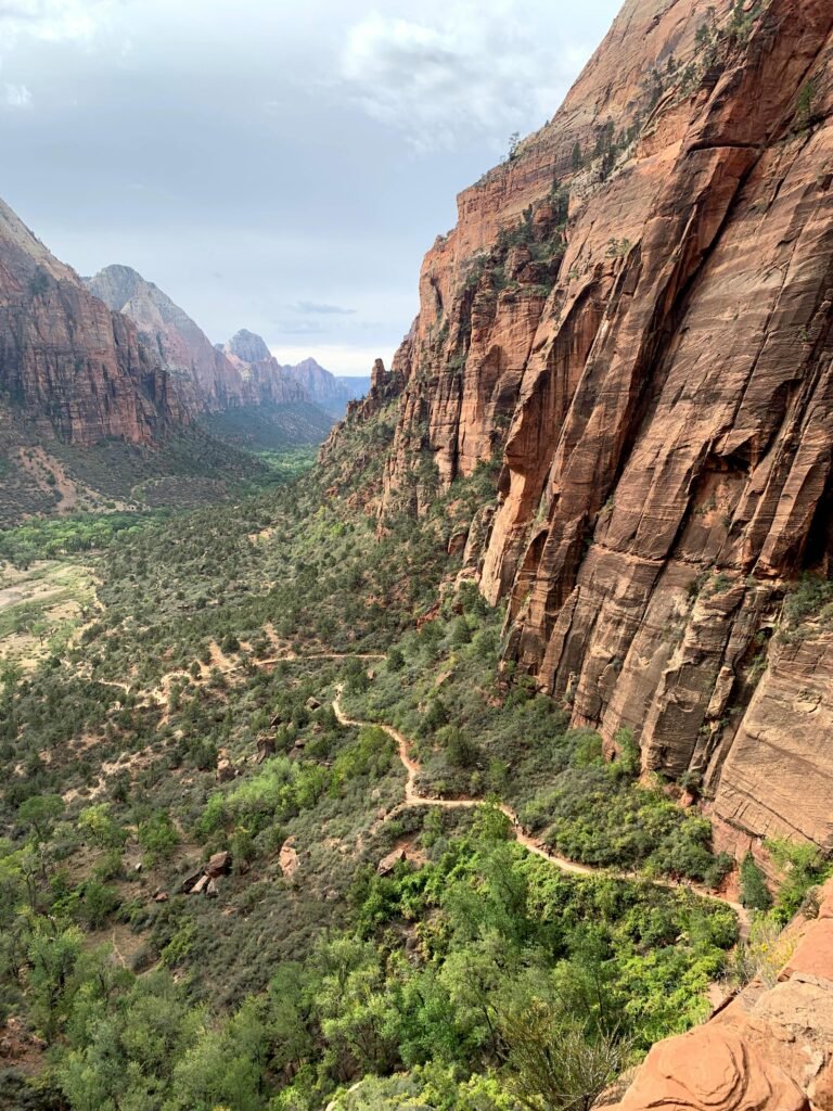 Stunning aerial view of Zion National Park's canyon landscape with eroded cliffs and lush greenery.