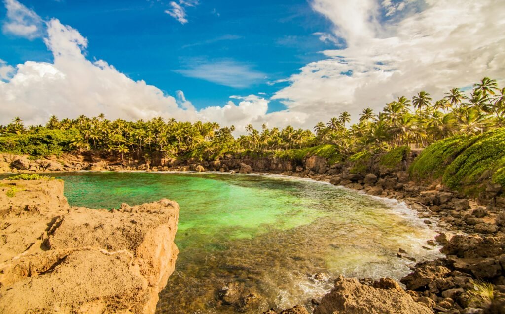 Breathtaking view of a tropical cove surrounded by lush palm trees in Puerto Rico.