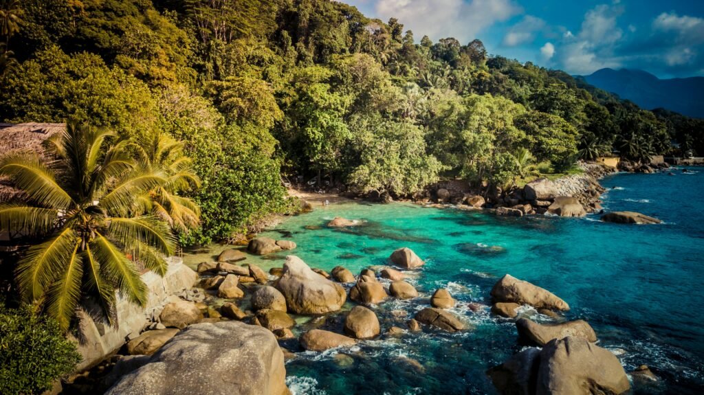 Idyllic tropical beach scene at Beau Vallon, Seychelles featuring palm trees and turquoise waters.