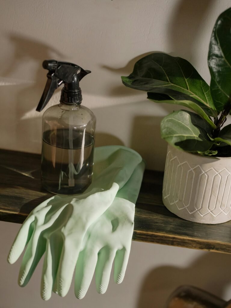 A stylish cleaning setup featuring green gloves, a spray bottle, and a potted plant.