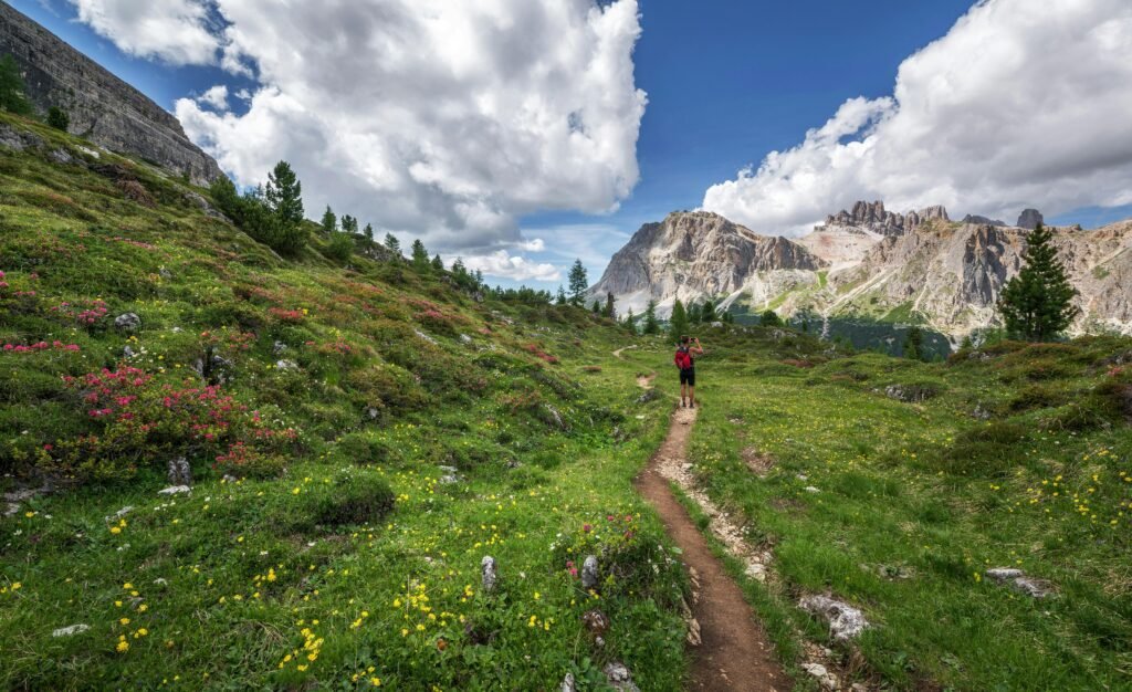 A lone hiker explores a stunning trail surrounded by alpine flowers and majestic mountains in the Dolomites.