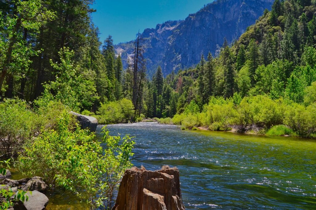 nature, landscape, bach, riverbank, yosemite, water, usa, reflections, blue, mountains, trees, forest, clear, quiet, heaven, yosemite, yosemite, yosemite, yosemite, yosemite