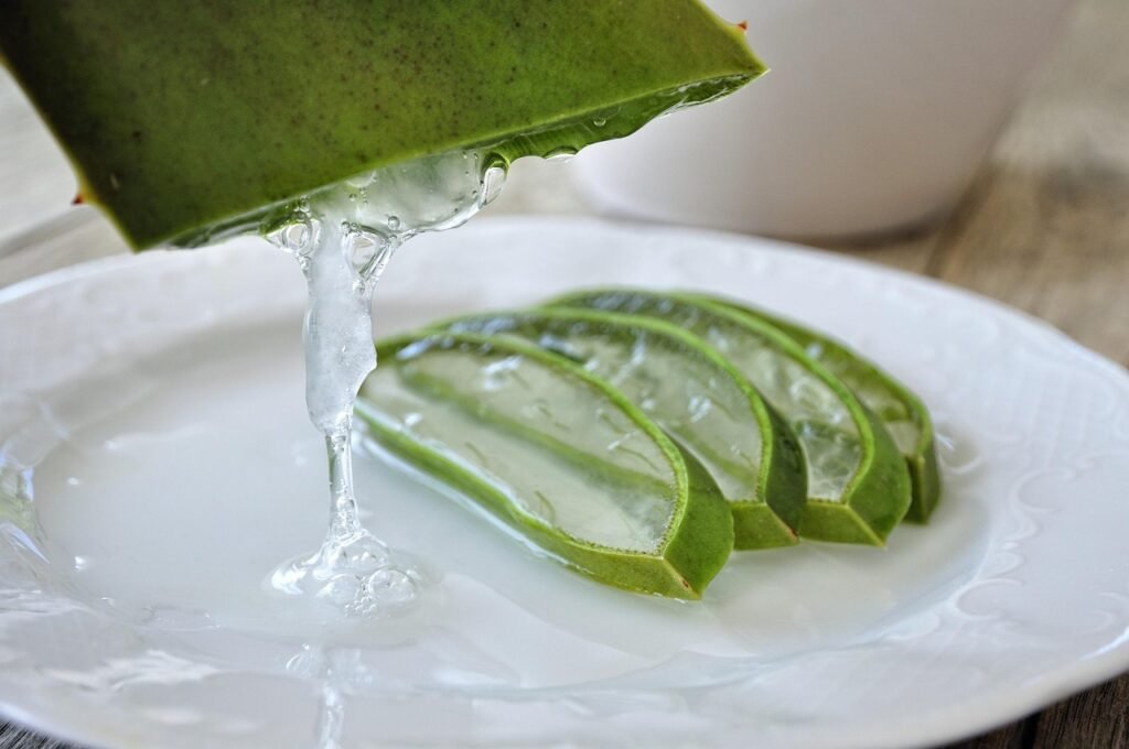 aloe, aloe vera, aloe gel, aloe vera gel, aloe vera health, aloe vera drink, health, green, aloe vera, aloe vera, aloe vera, aloe vera, aloe vera