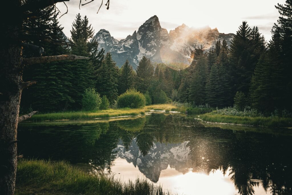 Captivating view of mountains reflecting in a tranquil forest lake at sunset, surrounded by lush greenery.