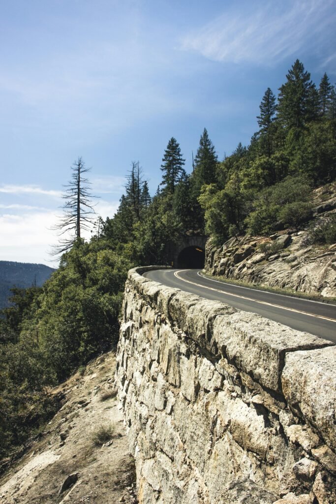 Winding road through the forest leading to a tunnel in Yosemite National Park.