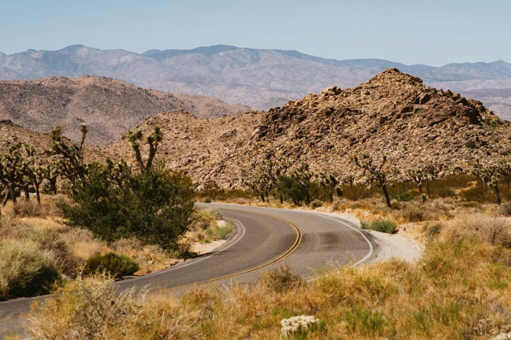 A winding road through the desert landscape of Joshua Tree National Park with rocky mountains and iconic Joshua trees.