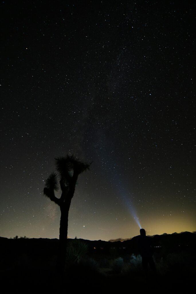 Silhouette in the desert with a starry night sky above and a beam of light.