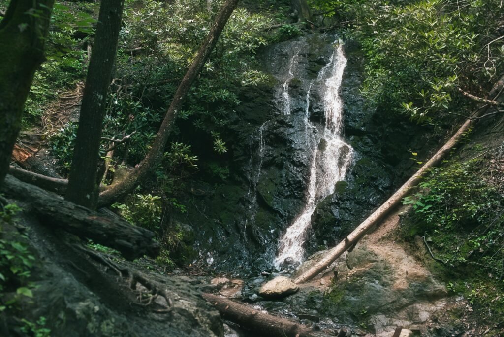 Tranquil waterfall hidden in the lush forest of Gatlinburg, TN.