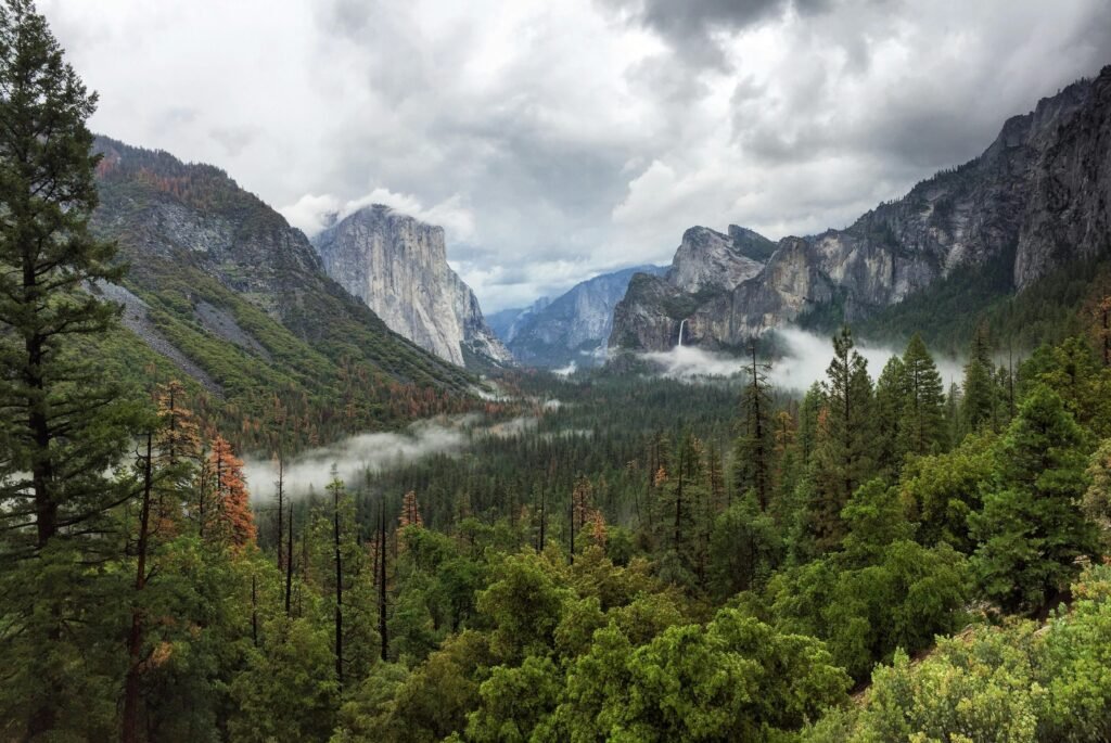 Stunning landscape view of Yosemite Valley featuring lush forests, mountains, and misty skies.